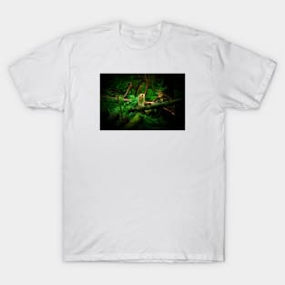 The Lynx / Swiss Artwork Photography T-Shirt